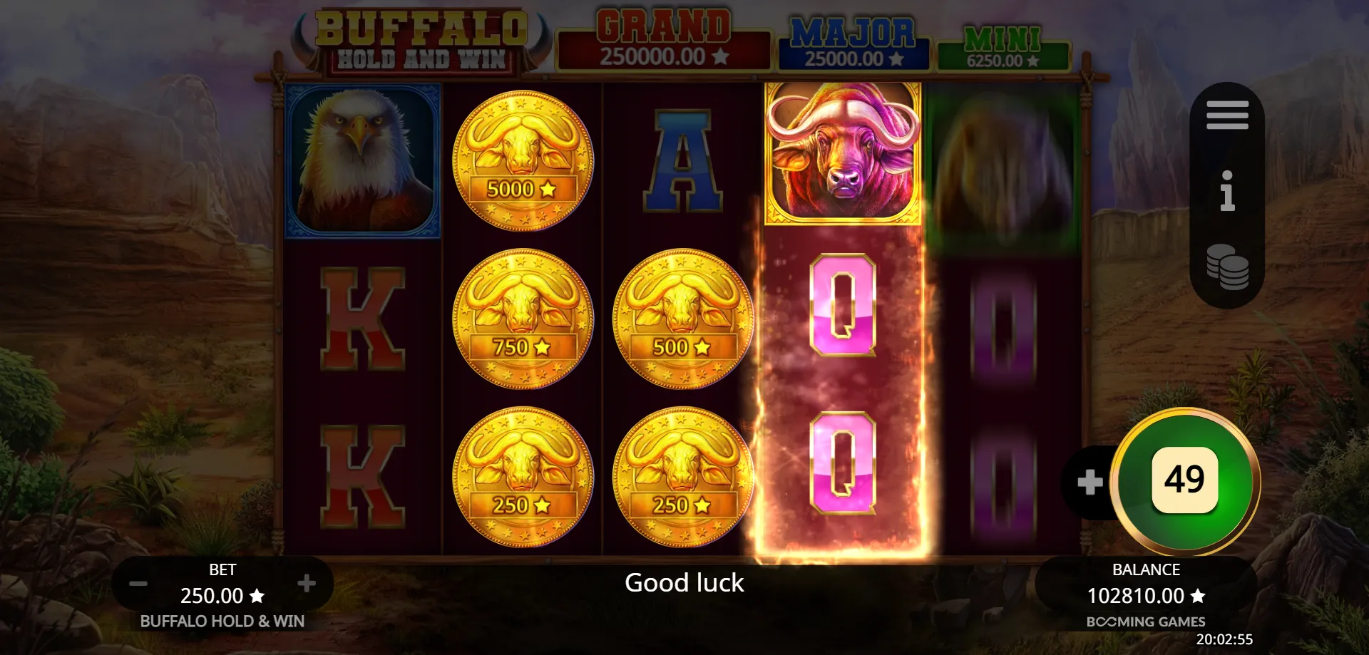 Gameplay for Buffalo Hold and Win Online Slot — Step by Step